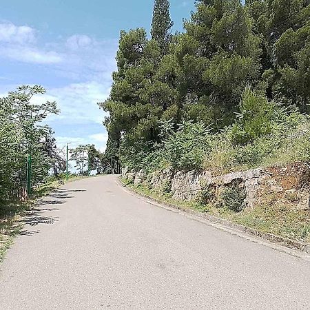 Aga Apartman פודגוריצה מראה חיצוני תמונה