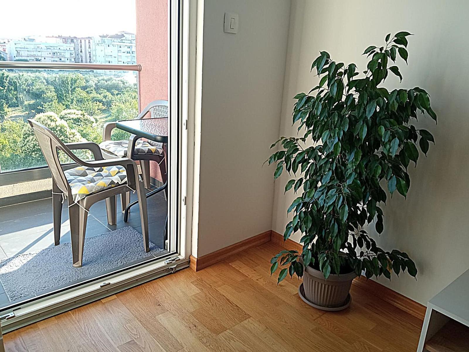 Aga Apartman פודגוריצה מראה חיצוני תמונה